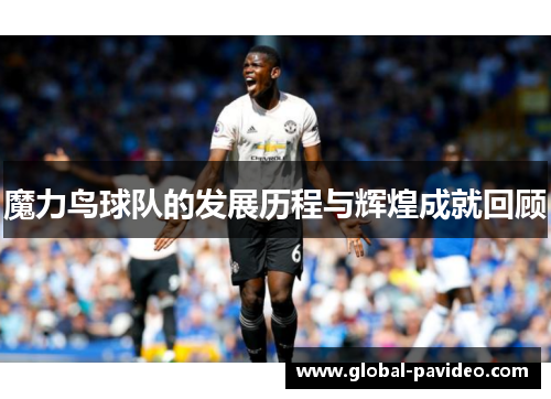 魔力鸟球队的发展历程与辉煌成就回顾 魔力鸟球队的发展历程与辉煌成就回顾