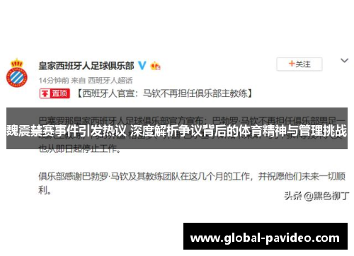 魏震禁赛事件引发热议 深度解析争议背后的体育精神与管理挑战