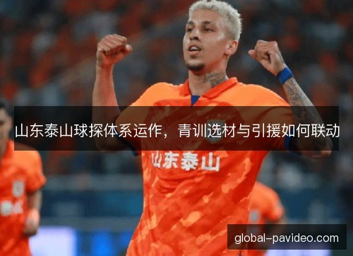 山东泰山球探体系运作，青训选材与引援如何联动
